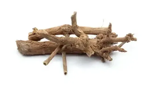 What are the Amazing Benefits of Punarnava?